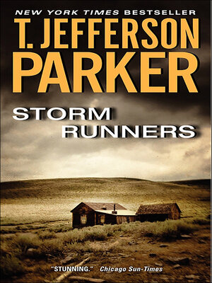 cover image of Storm Runners
